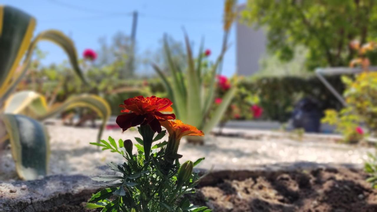 Elina House And Garden Villa Nikiti  Exterior foto