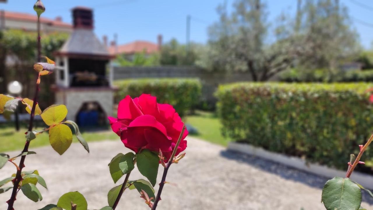 Elina House And Garden Villa Nikiti  Exterior foto